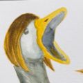 Profile picture nyaart13.bsky.social
