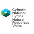 Profile picture natreswales.bsky.social