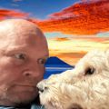 Profile picture philwr.bsky.social