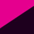 Profile picture hakaiika-crow.bsky.social