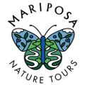 Profile picture mariposanature.bsky.social