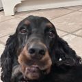 Profile picture scarwyn.bsky.social