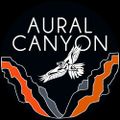Profile picture auralcanyon.bsky.social