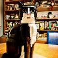 Profile picture missjeff.bsky.social