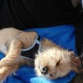 Profile picture nicholeeden.bsky.social