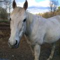 Profile picture moranbishop.bsky.social