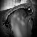 Profile picture notthelastgirl.bsky.social