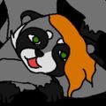 Profile picture testheraccoon.bsky.social