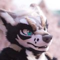 Profile picture rhapsodie.bsky.social
