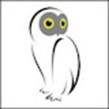 Profile picture odjinan.bsky.social