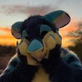 Profile picture tidale.us
