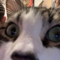 Profile picture darboio.bsky.social