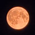 Profile picture 122848pjw.bsky.social