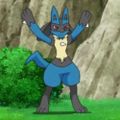 Profile picture snowlucario.bsky.social