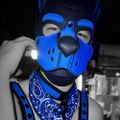 Profile picture puppyecho.bsky.social