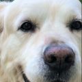 Profile picture ellen-brown.bsky.social