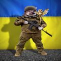 Profile picture veretskiy.bsky.social