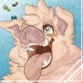 Profile picture kunexkune.bsky.social