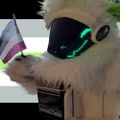 Profile picture beta8088proto.protogen.club