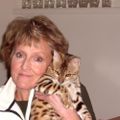 Profile picture ramonah4.bsky.social