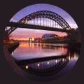 Profile picture butsurelynot.bsky.social