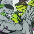 Profile picture incredible-hulk.bsky.social