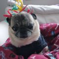 Profile picture debnewton.bsky.social