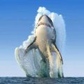 Profile picture matuskam.bsky.social