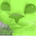 Profile picture grain45.bsky.social