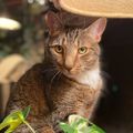 Profile picture pebbes.bsky.social