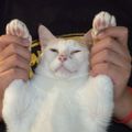 Profile picture sunnybleh.bsky.social