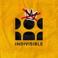 Profile picture indivisible.org