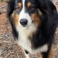 Profile picture hiker2407.bsky.social