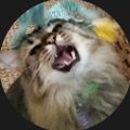 Profile picture caseywilson77.bsky.social