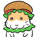 Profile picture hamutarous.bsky.social