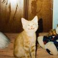 Profile picture tjjonesjacobson.bsky.social