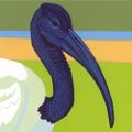 Profile picture bou.org.uk
