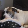 Profile picture madksd.bsky.social