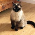 Profile picture princesseodette.bsky.social