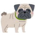 Profile picture pug2.bsky.social