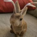 Profile picture junkyardrabbit8.bsky.social