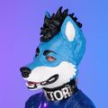 Profile picture doktorbites.com