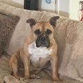 Profile picture farrock.bsky.social