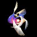 Profile picture kon00712.bsky.social