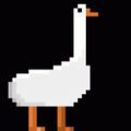 Profile picture thisgooserisyou.bsky.social