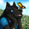 Profile picture seeksie.bsky.social
