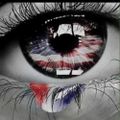 Profile picture dam-it-jan-it.bsky.social