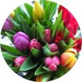 Profile picture yvobie.bsky.social