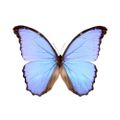 Profile picture goednieuws.bsky.social