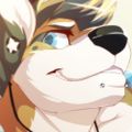 Profile picture kyodotter.bsky.social
